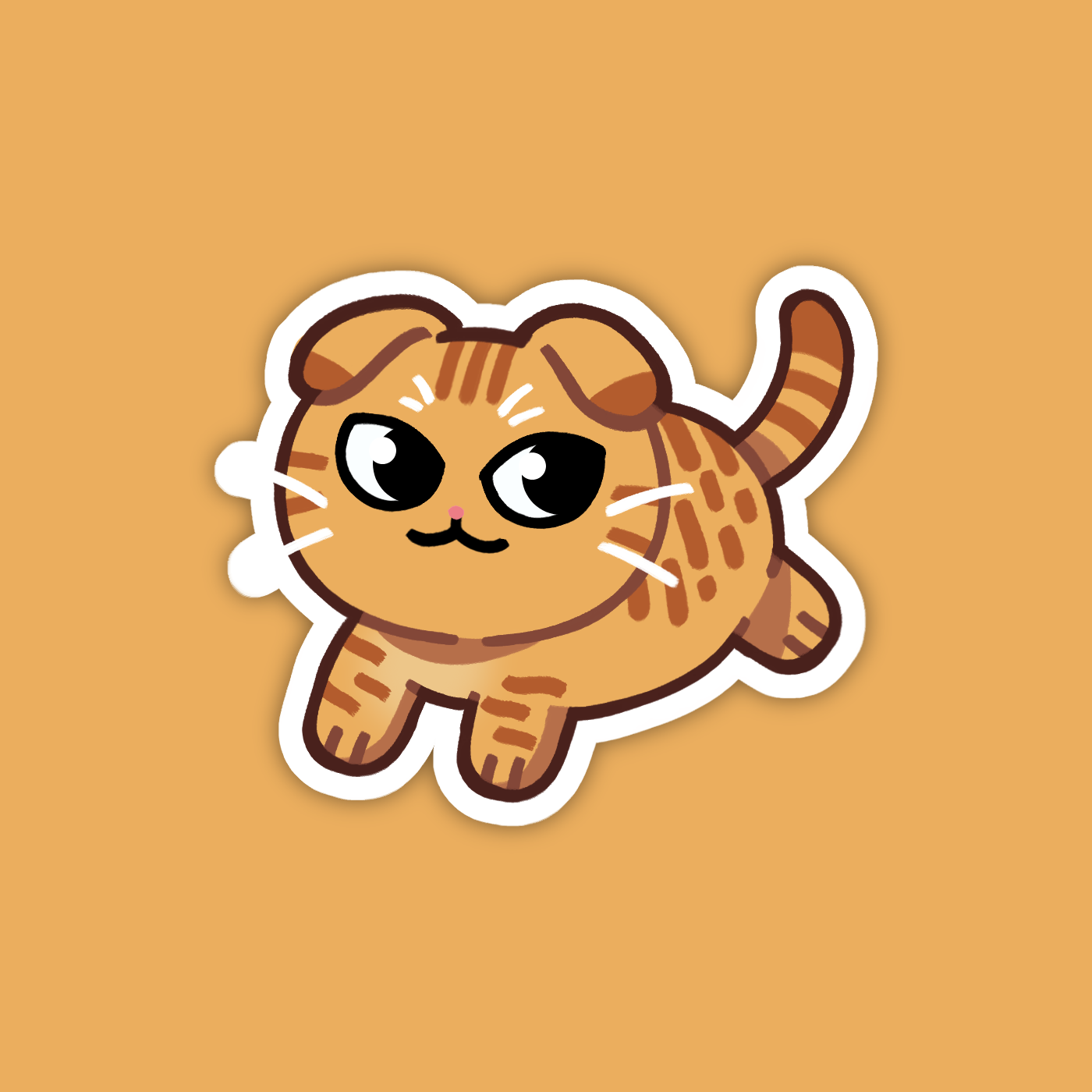 Orange Tabby Scottish Fold Cat Sticker