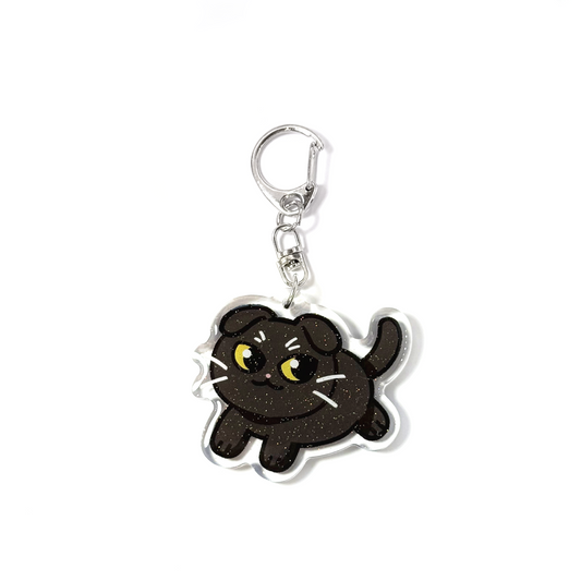 Black Scottish Fold Cat