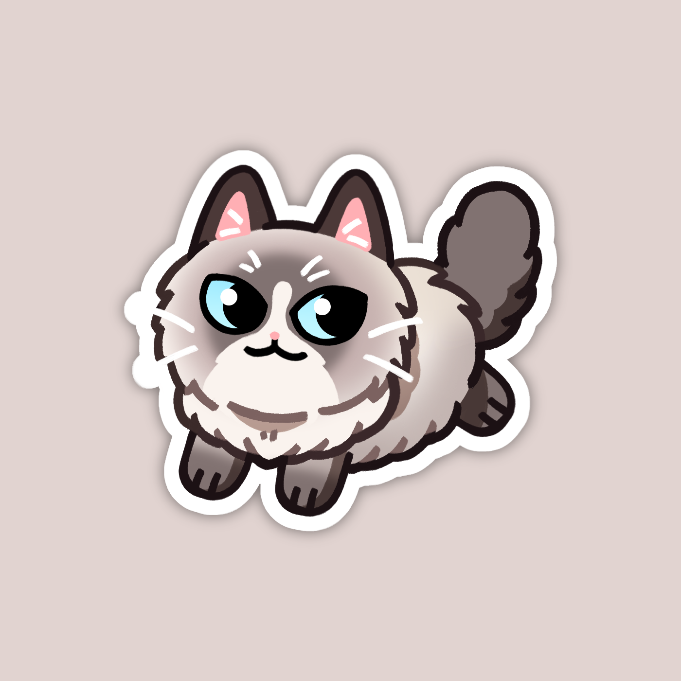Blue Bicolor Ragdoll Sticker