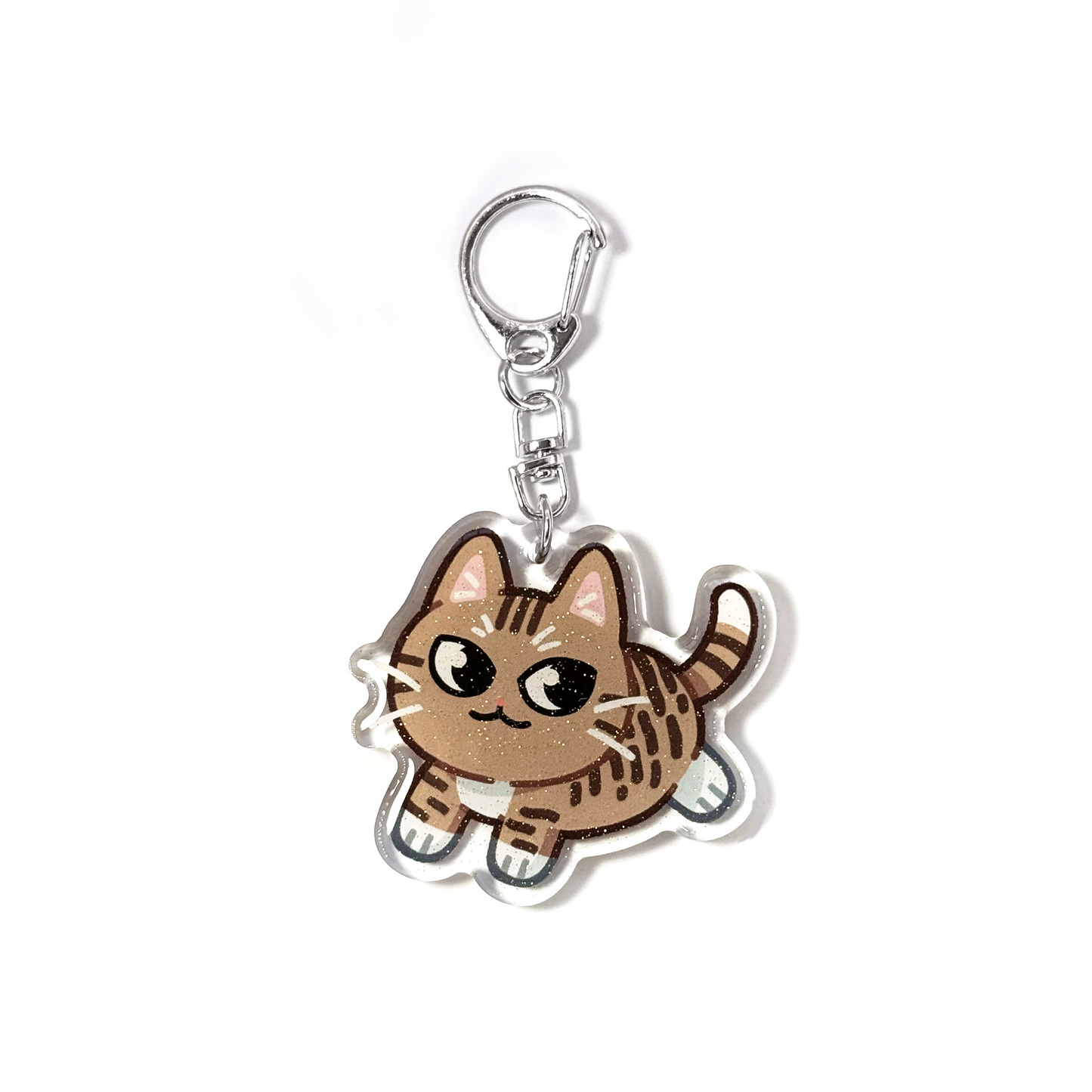 Brown Tabby Cat