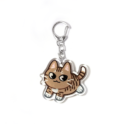 Brown Tabby Cat