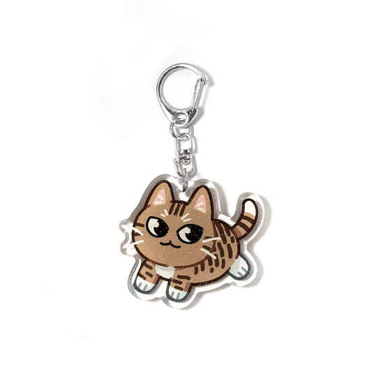 Brown Tabby Cat