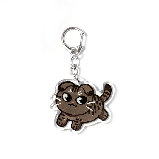 Brown Tabby Scottish Fold Cat