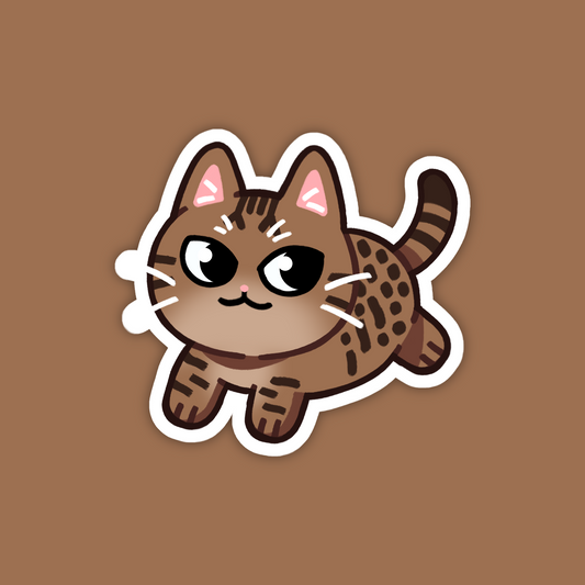 Chocolate Ocicat Cat Sticker