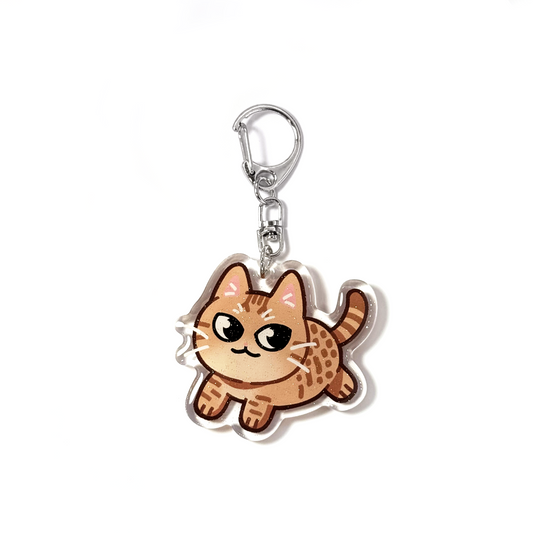 Cinnamon Ocicat Cat