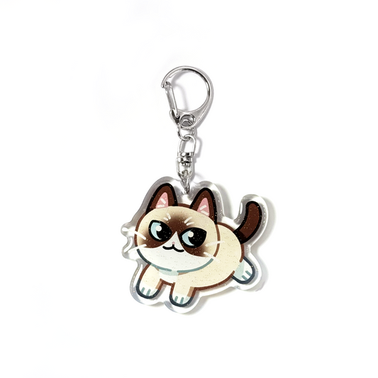 Cream Snowshoe Cat