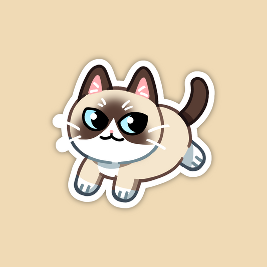 Cream Snowshoe Cat Sticker
