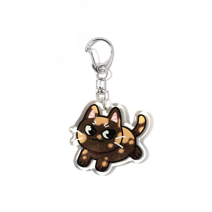 Dark Shorthaired Tortoiseshell Tortie Cat