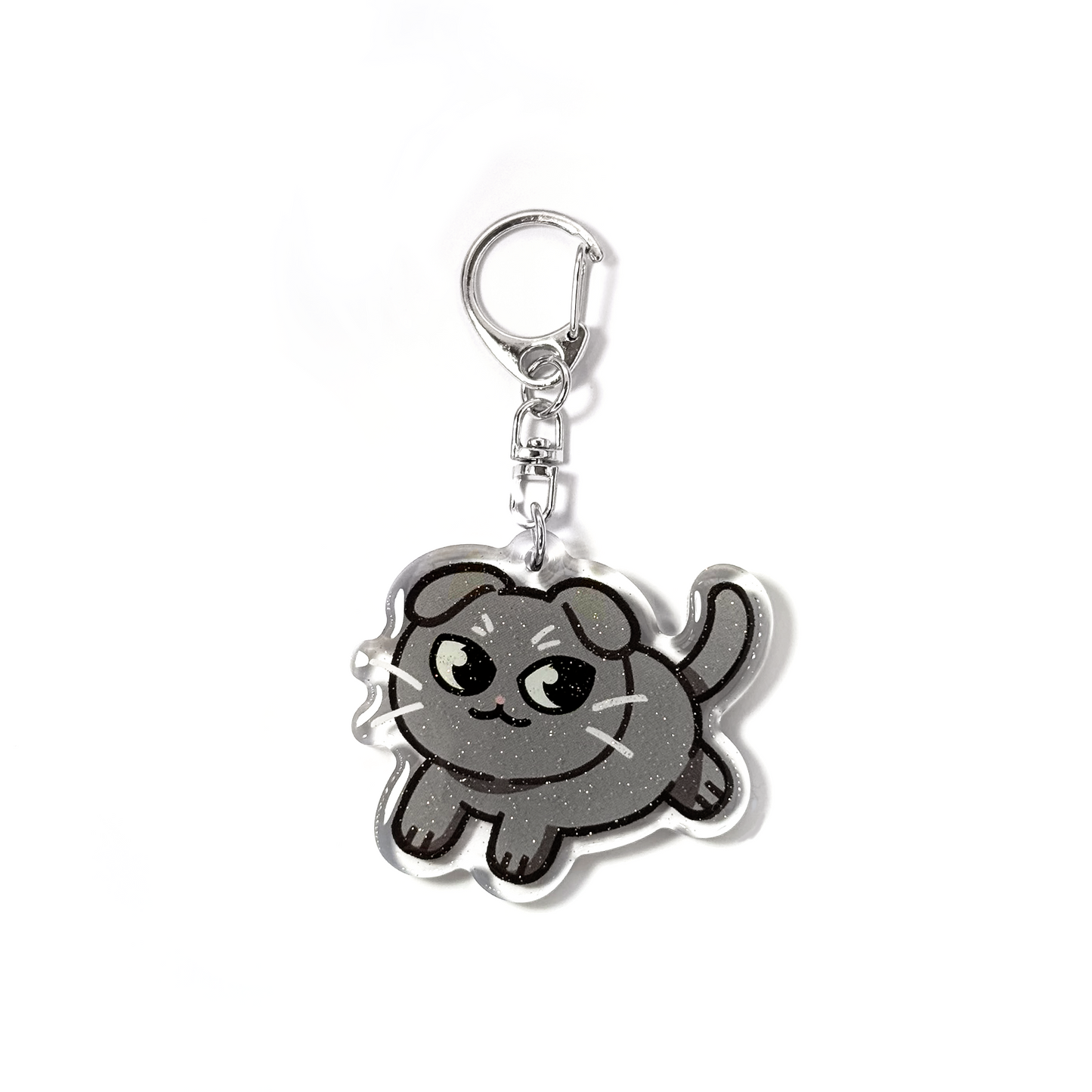 Gray Scottish Fold Cat
