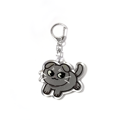 Gray Scottish Fold Cat