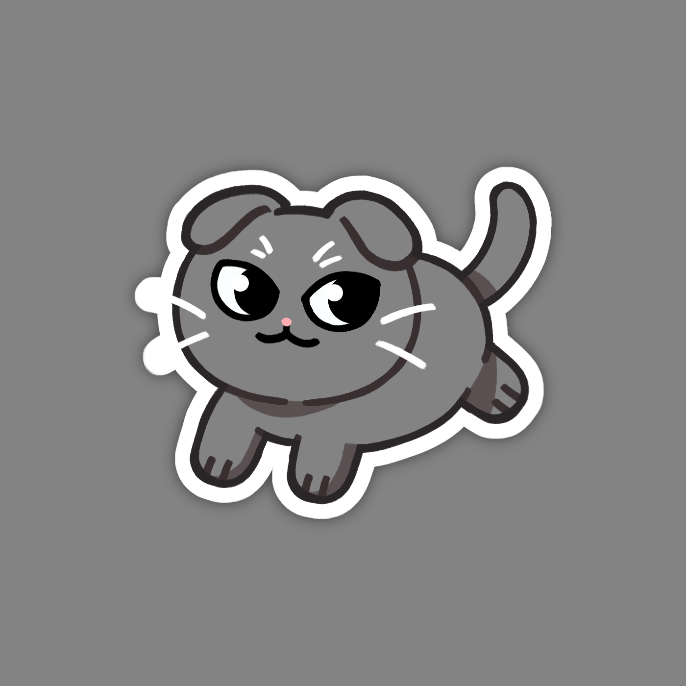 Gray Scottish Fold Cat Sticker