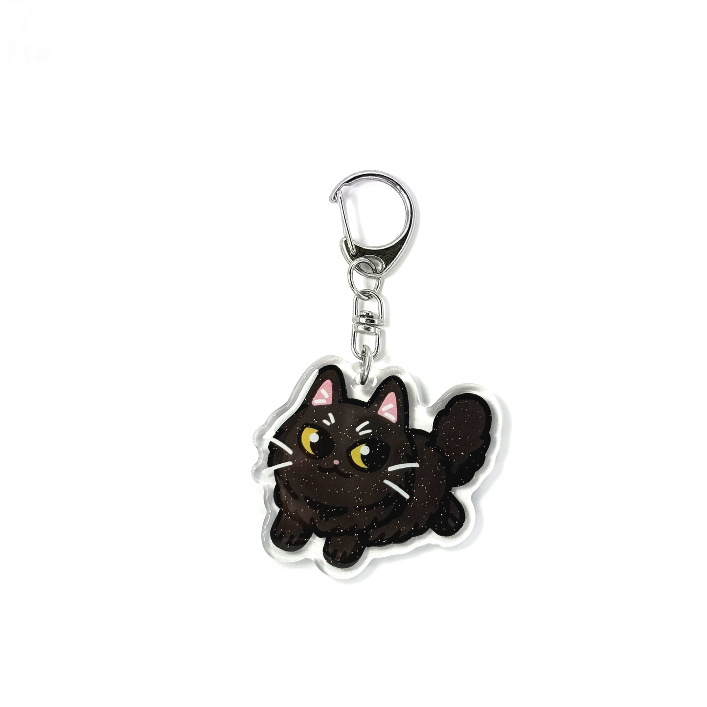 Longhaired Black Cat