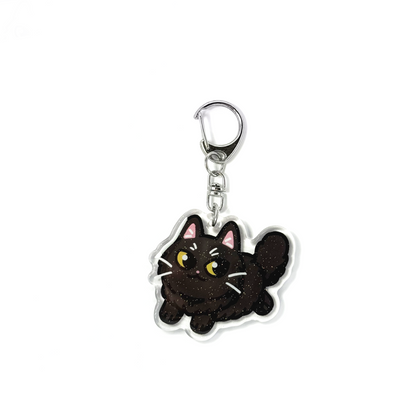 Longhaired Black Cat