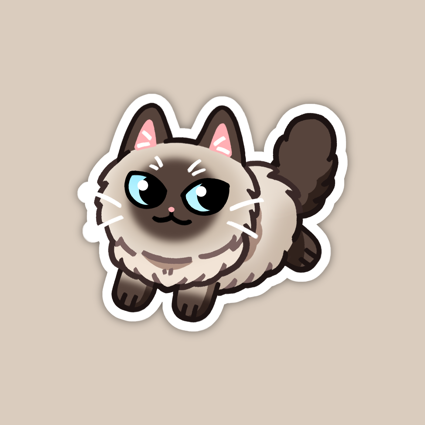 Seal Point Ragdoll Cat Sticker