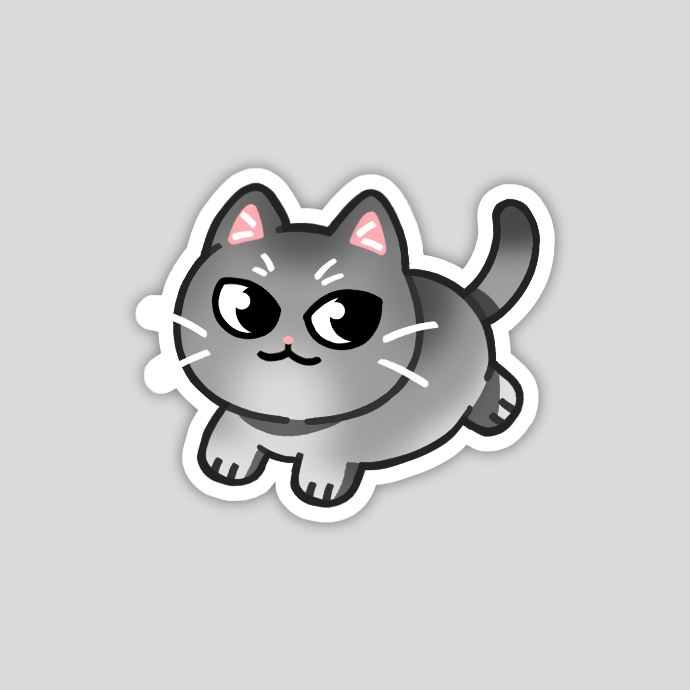 Silver British Shorthair Cat Sticker