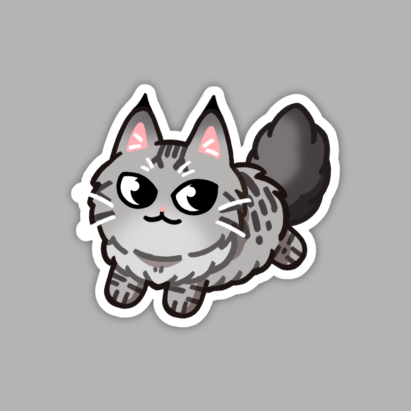Silver Gray Maine Coon Longhaired Cat Sticker