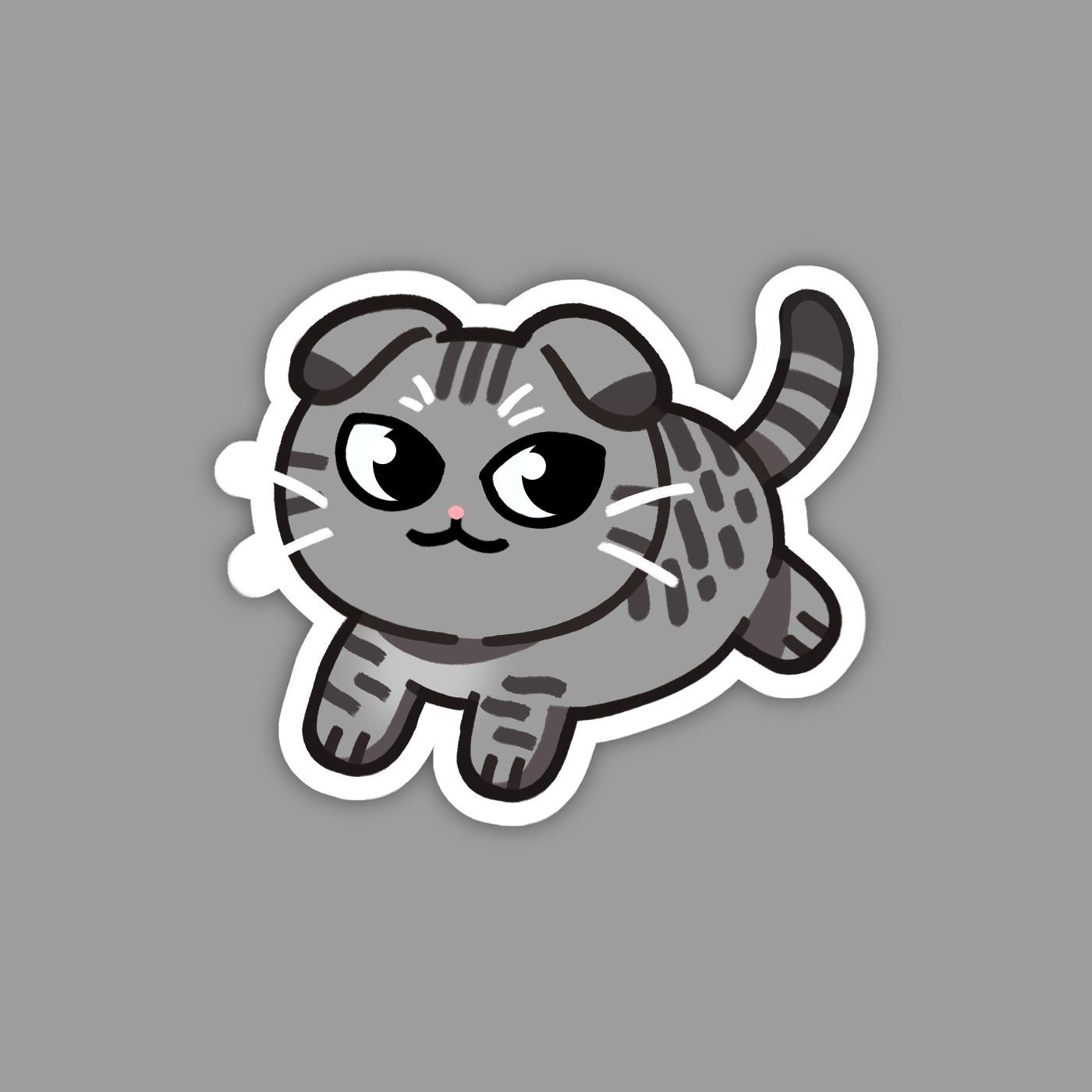 Silver Gray Tabby Scottish Fold Cat Sticker