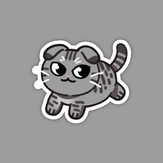 Silver Gray Tabby Scottish Fold Cat Sticker