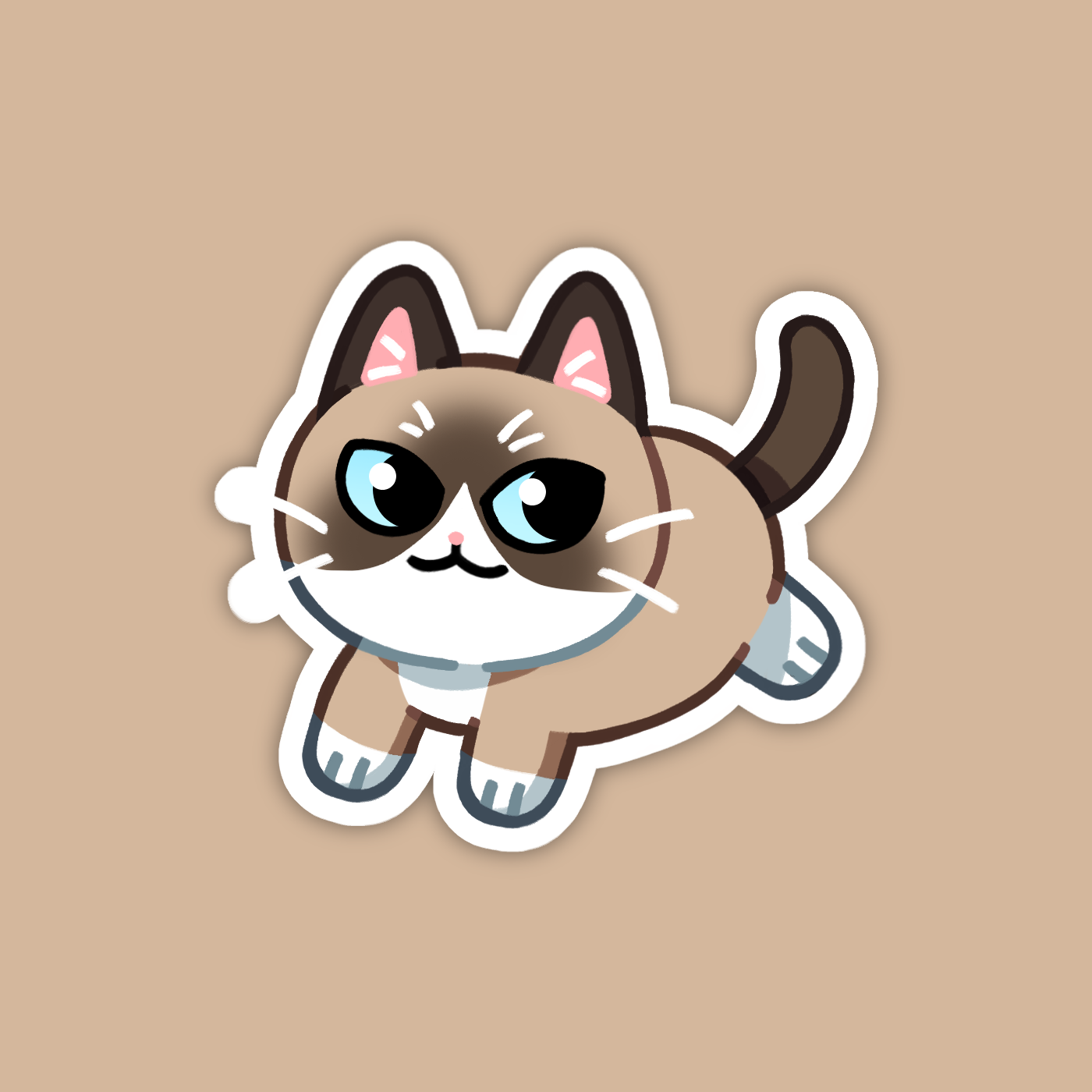 Tan Snowshoe Cat Sticker